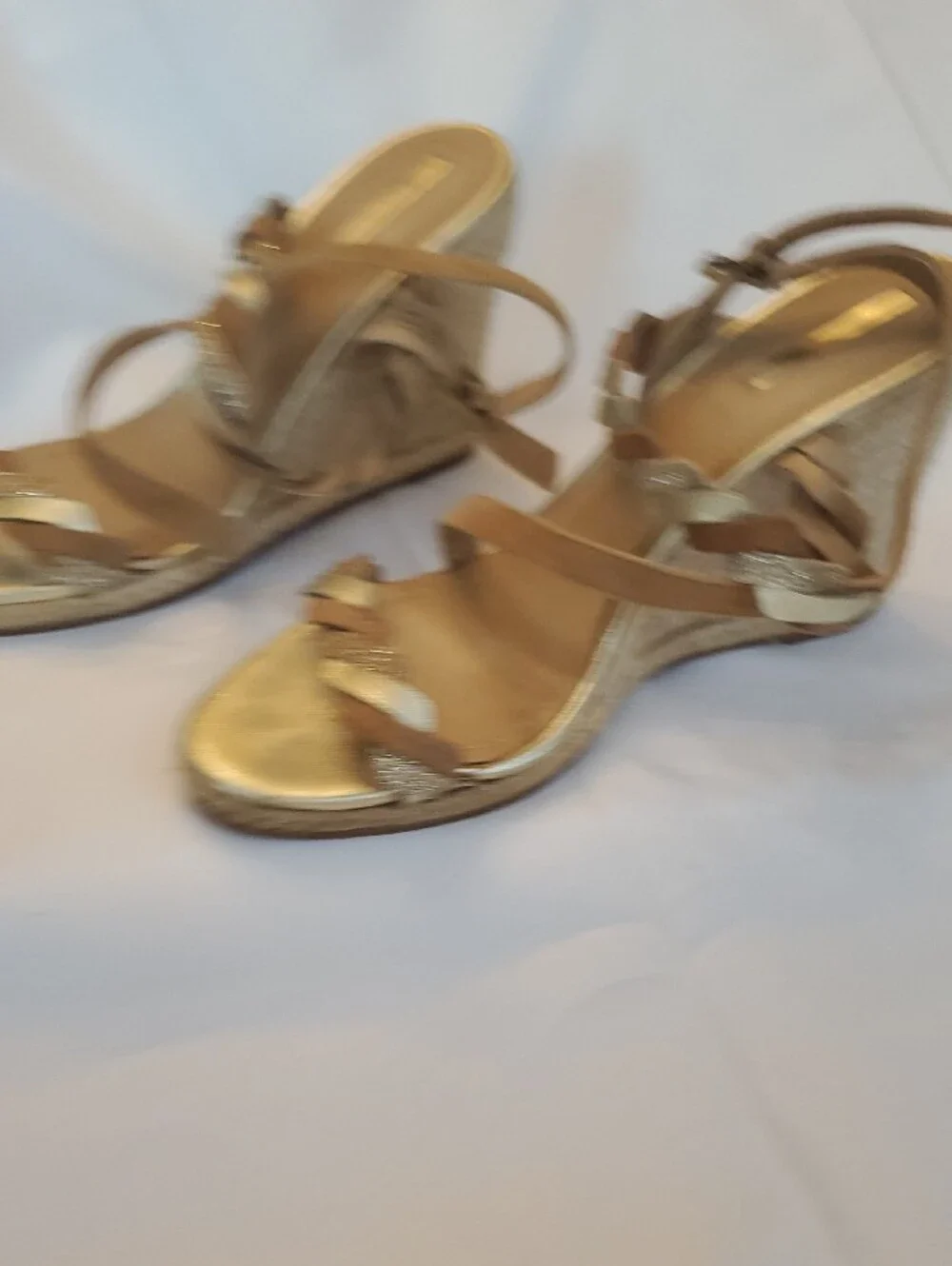 Tahari women gold